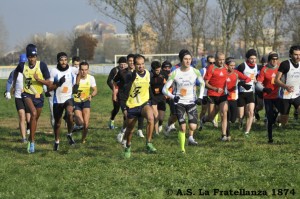 Cross 2014