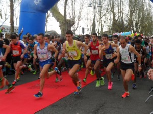 Giacobazzi strada Fucecchio2016