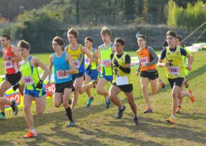 alessandro-lombardi-cross-carsolina