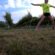 Allenamento settore giovanile #17 – 27 maggio 2020