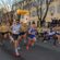 Tre anni dopo torna la vera Corrida di San Geminiano
